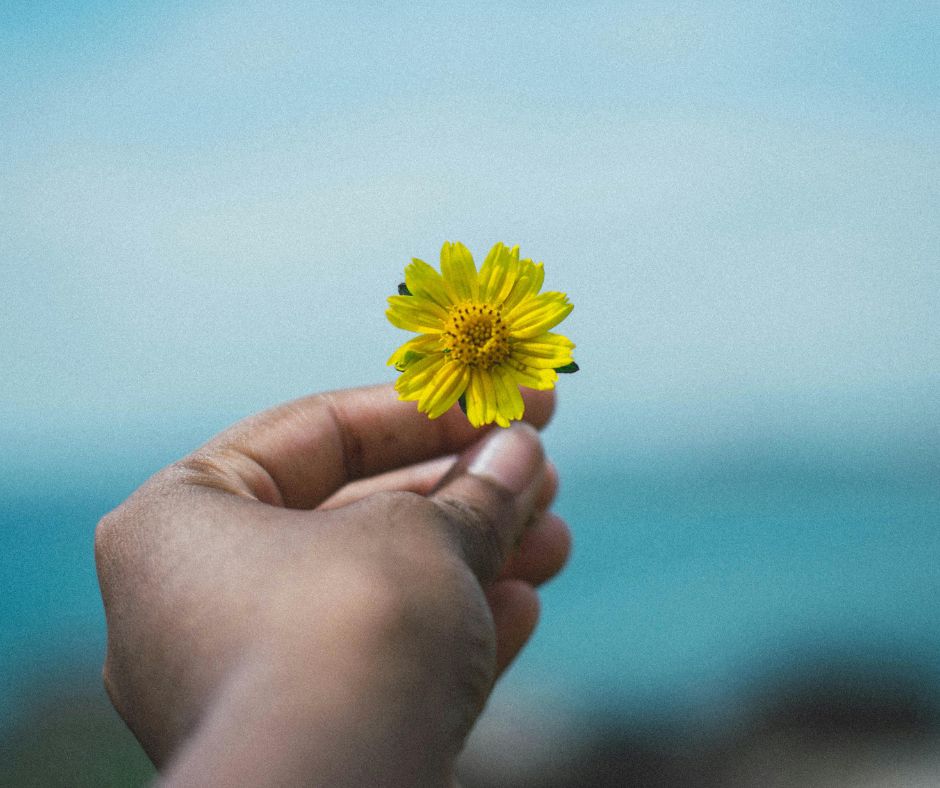 Hand hält eine gelbe Blume - Symbol für den Körper der hilft, einen unerfüllten Kinderwunsch zu verarbeiten